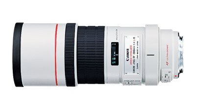 10-Canon EF 300mm f4L IS USM.jpg